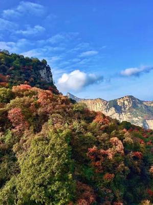 隱藏在華山旁的&ldquo;陜西九寨溝&rdquo;!卻比華山更秀美、更幽靜!